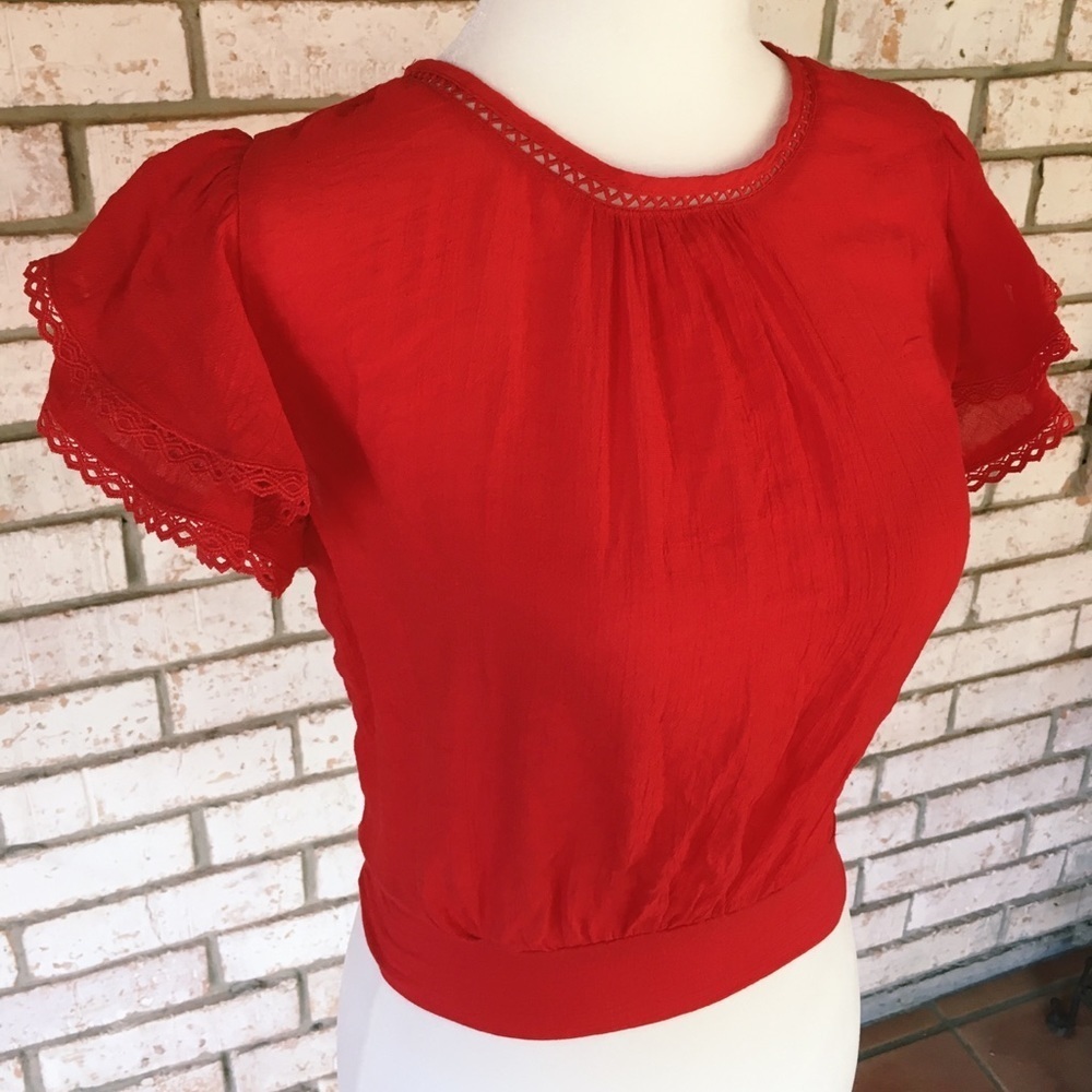 46. Lovely in Red Crop Top